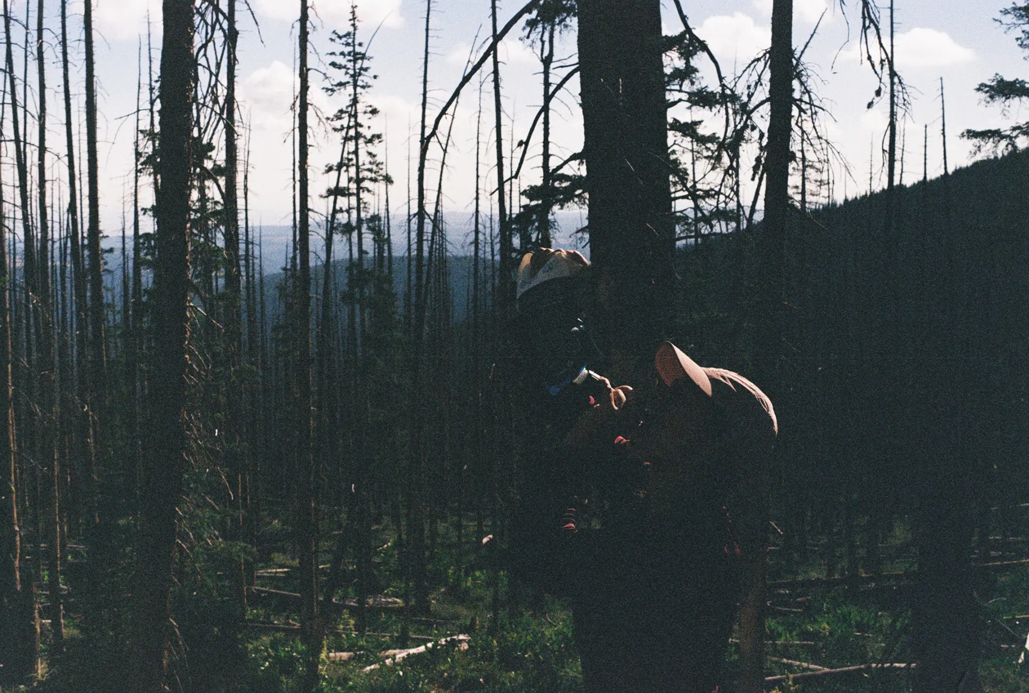 MCA members embracing in a mountain forest