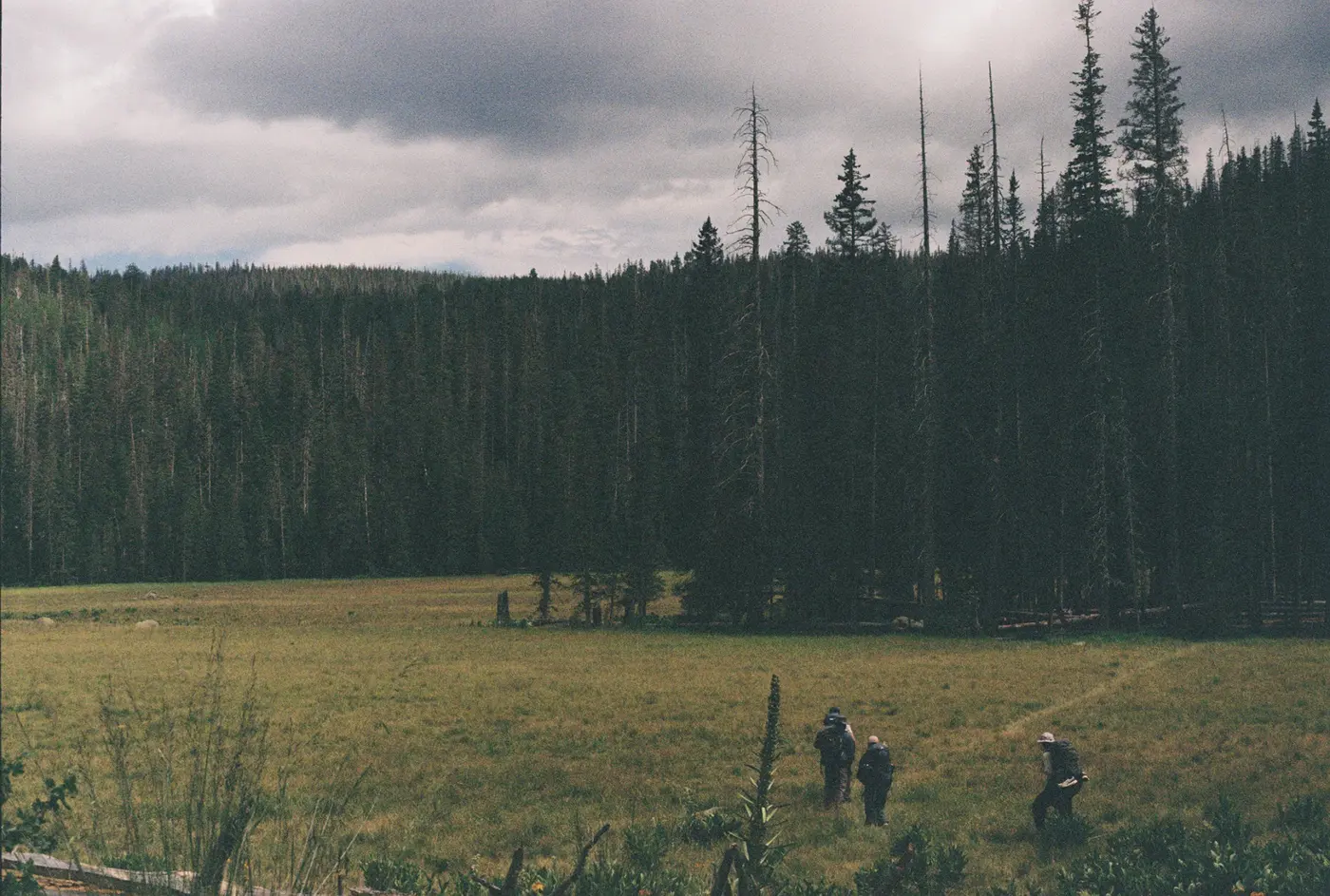 MCA members walking across a mountain meadow beneath a forested ridge