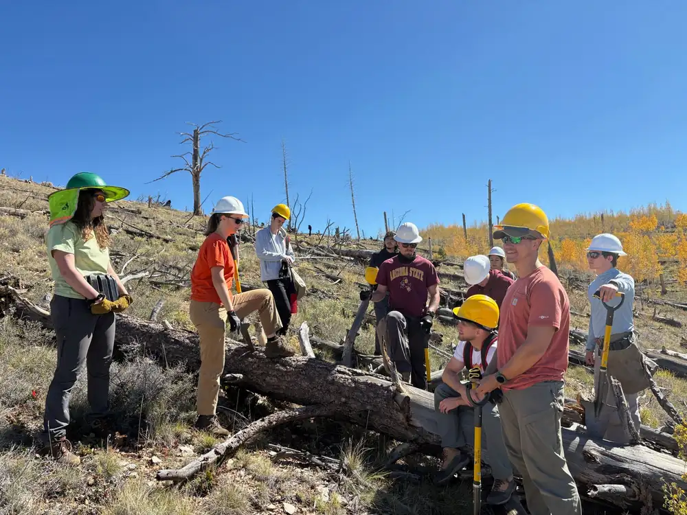 MCA members working together on a restoration project